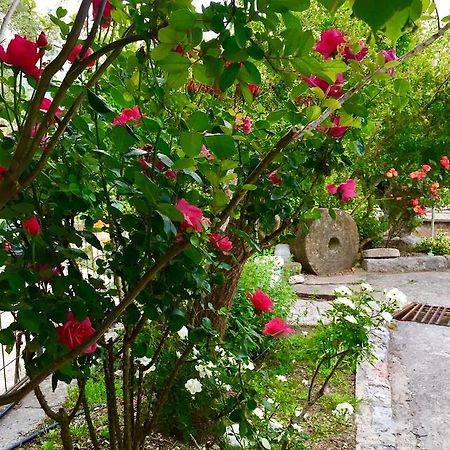 Apartmani Peric Бар Екстериор снимка