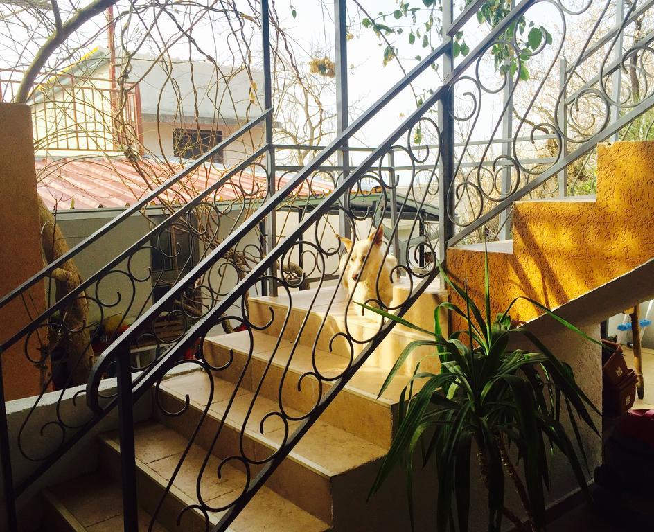 Apartmani Peric Бар Екстериор снимка